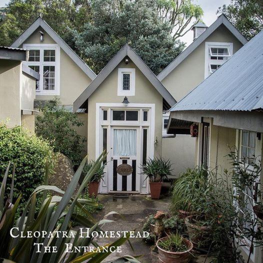 Cleopatra Mountain Farmhouse Fort Nottingham エクステリア 写真