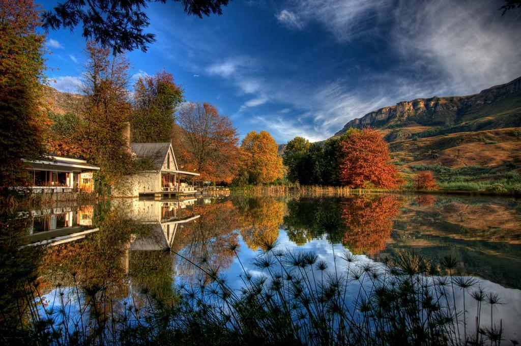 Cleopatra Mountain Farmhouse Fort Nottingham エクステリア 写真